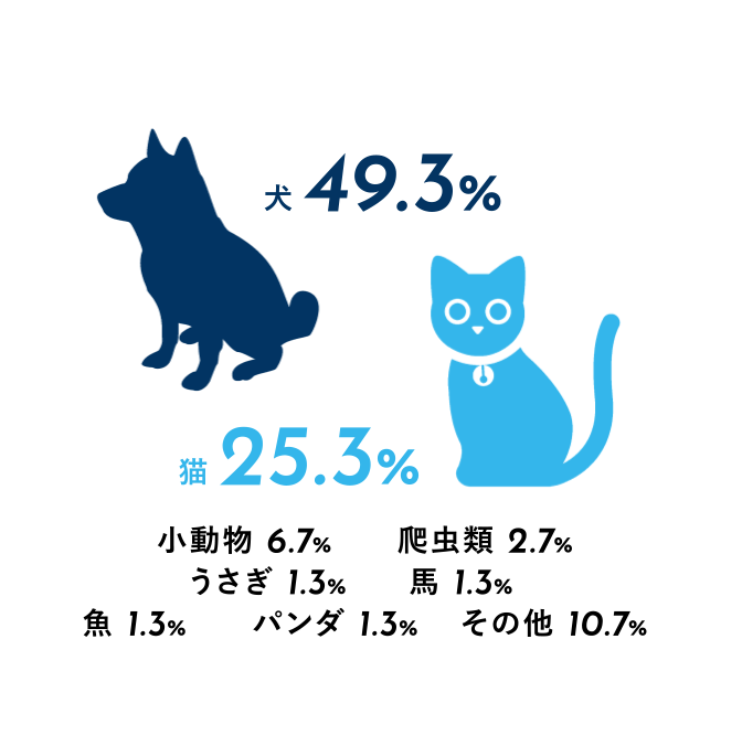 >FAVORITE ANIMALS